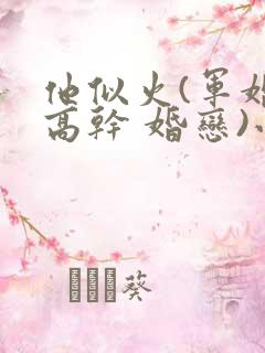 他似火(军婚 高干 婚恋)小说