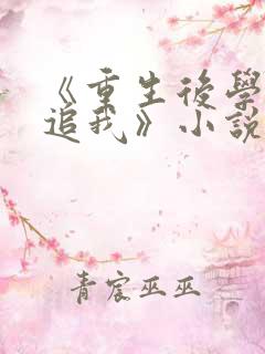 《重生后学霸倒追我》小说