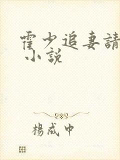 霍少追妻请低调 小说