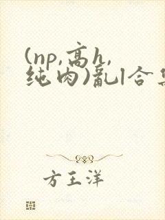 (np,高h,纯肉)乱l合集