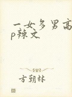 一女多男高hnp辣文