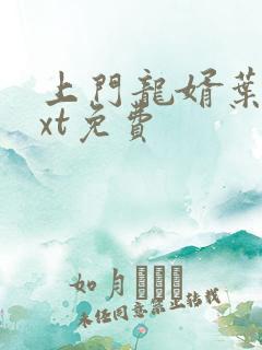 上门龙婿叶辰txt免费