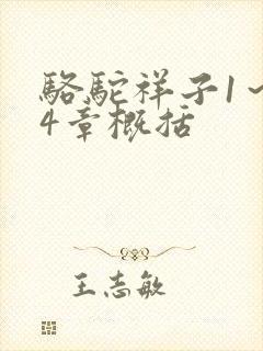 骆驼祥子1～24章概括