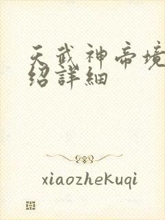 天武神帝境界介绍详细