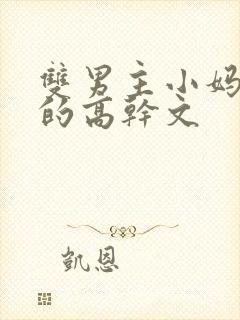 双男主小妈文学的高干文