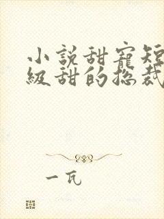 小说甜宠短篇超级甜的总裁文