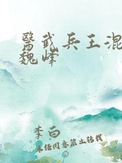 医武兵王混乡村魏峰