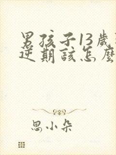 男孩子13岁叛逆期该怎么沟通