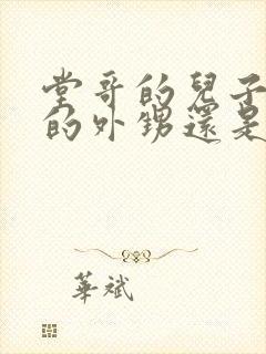 堂哥的儿子是我的外甥还是侄子