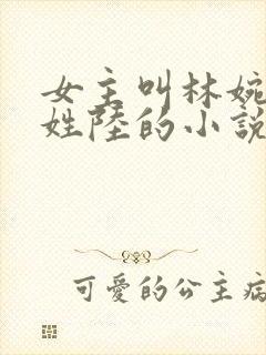 女主叫林婉男主姓陆的小说