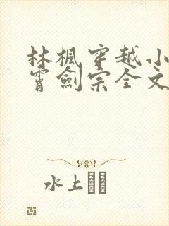 林枫穿越小说神霄剑宗全文阅读