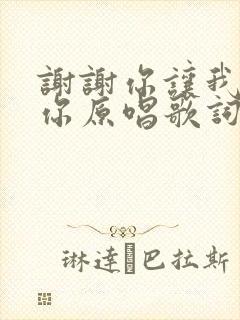 谢谢你让我遇见你原唱歌词