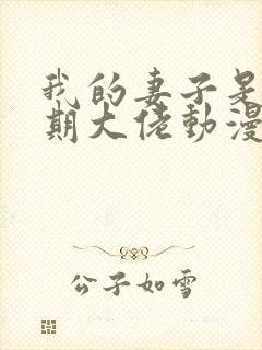 我的妻子是大乘期大佬动漫第二季