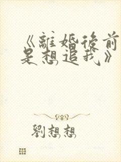 《离婚后前夫总是想追我》