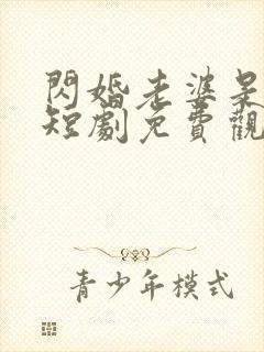 闪婚老婆是大佬短剧免费观看