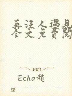 再没人遇见小说全文免费阅读