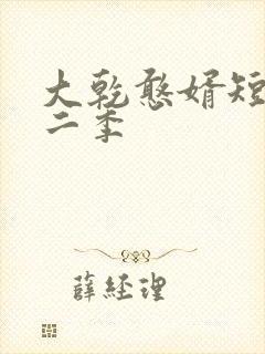 大乾憨婿短剧第二季