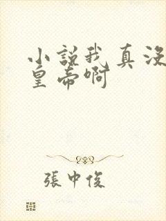 小说我真没想当皇帝啊