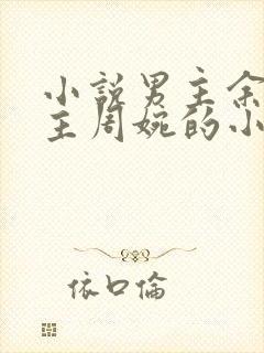 小说男主余年女主周婉的小说