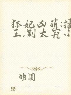 狐妃凶萌:摄政王,别太宠小说