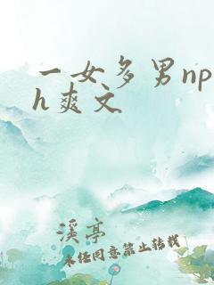 一女多男np巨h爽文