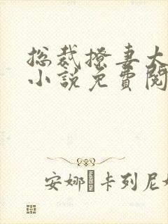 总裁撩妻太给力小说免费阅读