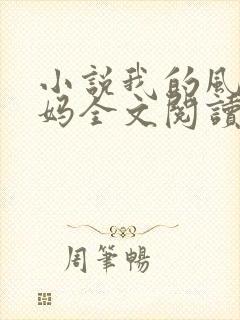 小说我的风流妈妈全文阅读