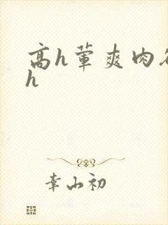 高h荤爽肉欲文h