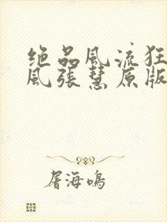 绝品风流狂医林风张慧原版小说