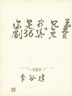 你是我兄弟电视剧36集免费放