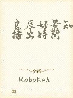 良辰好景知几何播出时间