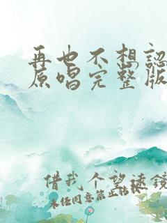 再也不想认识谁原唱完整版歌词