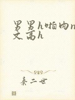 男男h啪肉np文高h