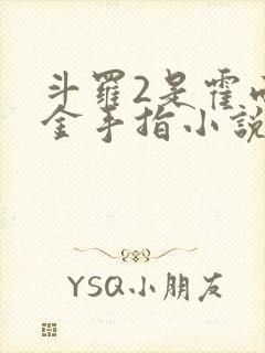 斗罗2是霍雨浩金手指小说