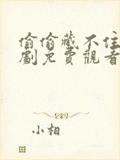 偷偷藏不住电视剧免费观看在线