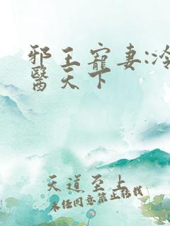 邪王宠妻:冷妃医天下