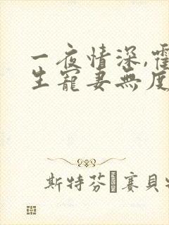 一夜情深,霍先生宠妻无度全集