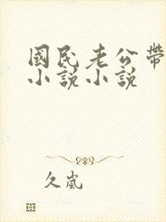 国民老公带回家小说小说