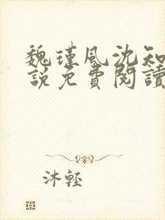 魏瑾风沈知玉小说免费阅读最新章节