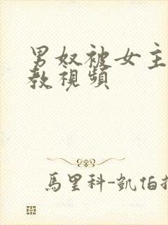 男奴被女主人调教视频