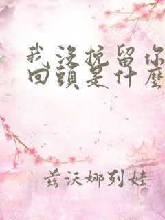 我没挽留你也没回头是什么歌