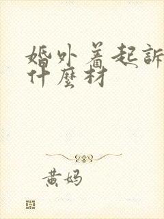 婚外着起诉需要什么材