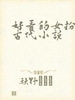 好看的女扮男装古代小说