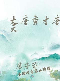 大唐秀才唐蓉秦天