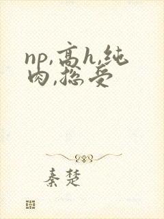 np,高h,纯肉,总受