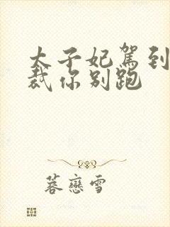 太子妃驾到 总裁你别跑