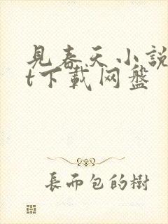 见春天小说txt下载网盘