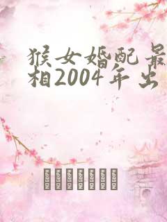 猴女婚配最佳属相2004年出生