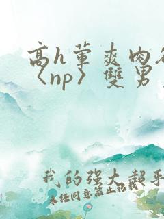 高h荤爽肉欲文〈np〉双男主