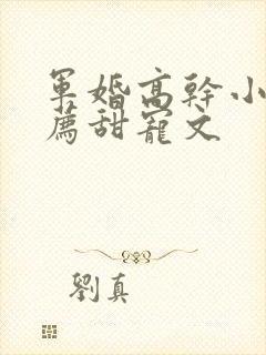 军婚高干小说推荐甜宠文